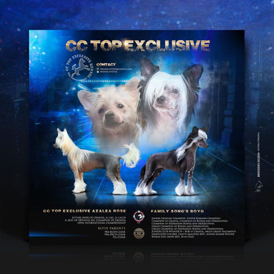 CC top exclusive – flyer_
