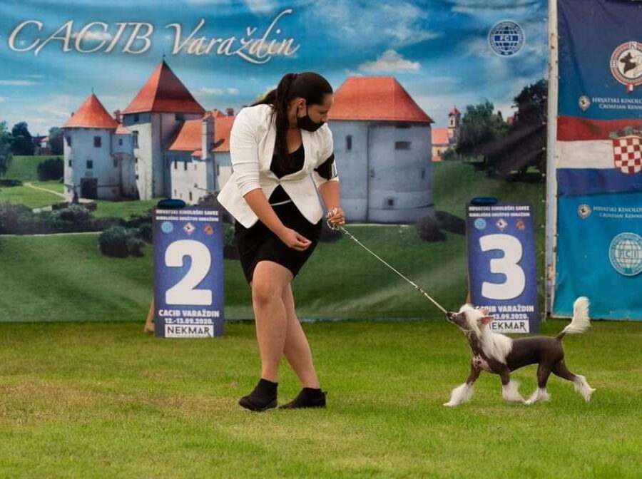 slider_nica3