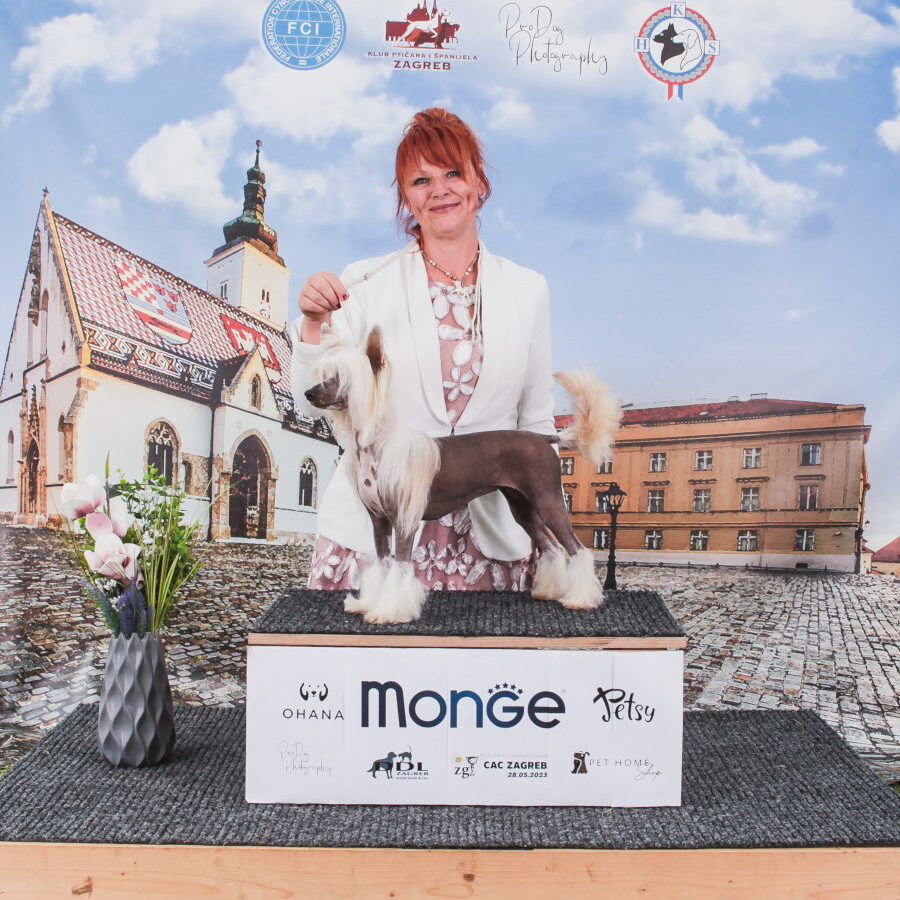 CAC_Zagreb_Hennessy